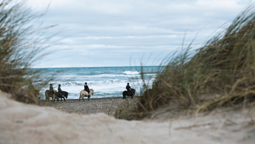 Påskefestival I Slettestrand Thorupstrand | VisitJammerbugten